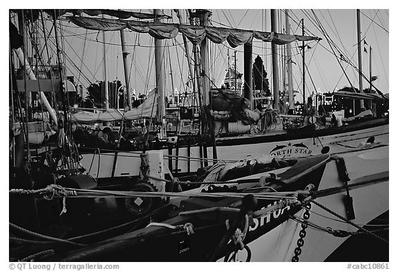Sailboats with lights of the legislature appearing between masts. Victoria, British Columbia, Canada (black and white)