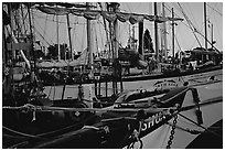 Sailboats with lights of the legislature appearing between masts. Victoria, British Columbia, Canada ( black and white)