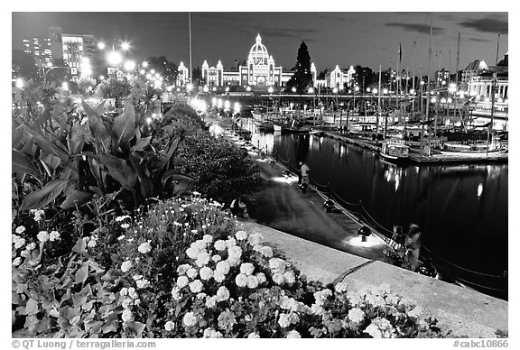 Flowers, inner harbour, and lights at night. Victoria, British Columbia, Canada (black and white)