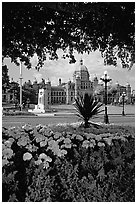 Parliament framed by leaves and flowers. Victoria, British Columbia, Canada (black and white)