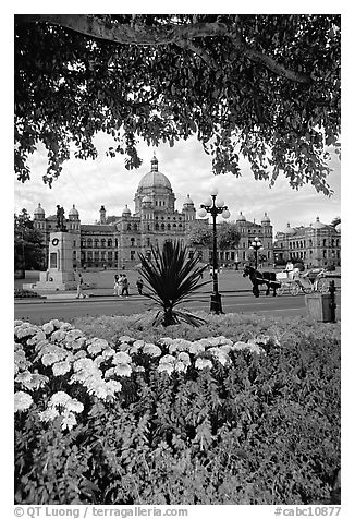 Legislature and horse carriage framed by leaves and flowers. Victoria, British Columbia, Canada