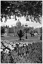 Legislature and horse carriage framed by leaves and flowers. Victoria, British Columbia, Canada (black and white)