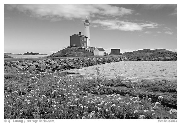 Flowers and Fisgard Lighthouse. Victoria, British Columbia, Canada