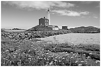 Flowers and Fisgard Lighthouse. Victoria, British Columbia, Canada (black and white)