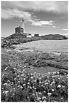 Flowers and Fisgard Lighthouse. Victoria, British Columbia, Canada (black and white)