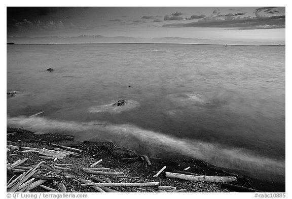 Beach with driftwood, and Olympic Mountains across the Juan de Fuca Strait. Victoria, British Columbia, Canada (black and white)