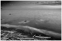 Beach with driftwood, and Olympic Mountains across the Juan de Fuca Strait. Victoria, British Columbia, Canada (black and white)