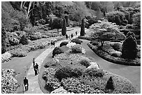 Sunken Garden. Butchart Gardens, Victoria, British Columbia, Canada (black and white)