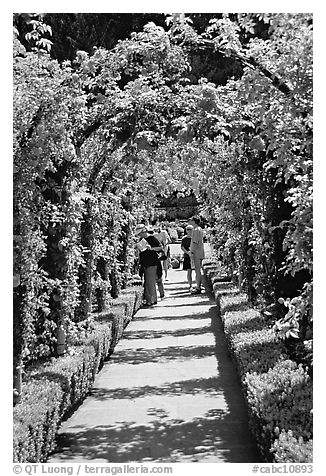 Arbour and path in Rose Garden. Butchart Gardens, Victoria, British Columbia, Canada