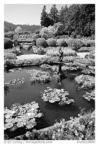 Pond in Italian Garden. Butchart Gardens, Victoria, British Columbia, Canada (black and white)