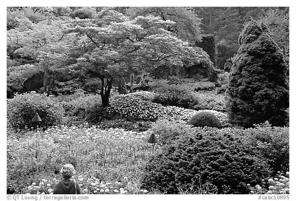 Tourist looking at flowers and trees in the Sunken Garden. Butchart Gardens, Victoria, British Columbia, Canada