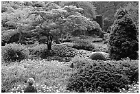 Tourist looking at flowers and trees in the Sunken Garden. Butchart Gardens, Victoria, British Columbia, Canada (black and white)