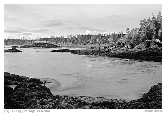 Half-moon bay, late afternoon. Pacific Rim National Park, Vancouver Island, British Columbia, Canada (black and white)