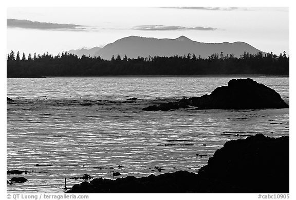 Rocks, tree line, and mountains from Half-moon bay, late afternoon. Pacific Rim National Park, Vancouver Island, British Columbia, Canada