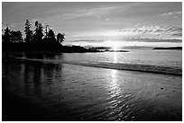 Sunset, Half-moon bay. Pacific Rim National Park, Vancouver Island, British Columbia, Canada ( black and white)