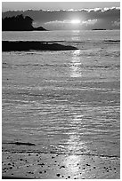 Sunset, Half-moon bay. Pacific Rim National Park, Vancouver Island, British Columbia, Canada (black and white)