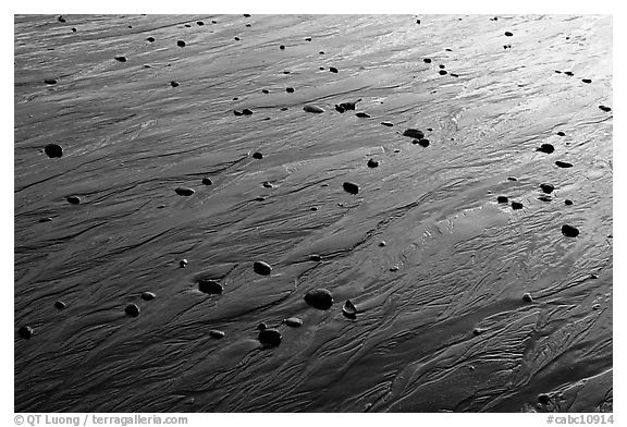 Reflections in wet sand at sunset, Half-moon bay. Pacific Rim National Park, Vancouver Island, British Columbia, Canada (black and white)