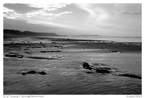 Long Beach, early morning. Pacific Rim National Park, Vancouver Island, British Columbia, Canada (black and white)