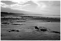 Long Beach, early morning. Pacific Rim National Park, Vancouver Island, British Columbia, Canada ( black and white)