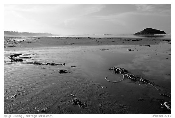 Wet sand on Long Beach, early morning. Pacific Rim National Park, Vancouver Island, British Columbia, Canada