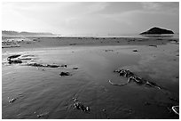 Wet sand on Long Beach, early morning. Pacific Rim National Park, Vancouver Island, British Columbia, Canada (black and white)