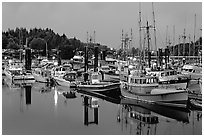 Commercial fishing fleet at dawn, Uclulet. Vancouver Island, British Columbia, Canada (black and white)