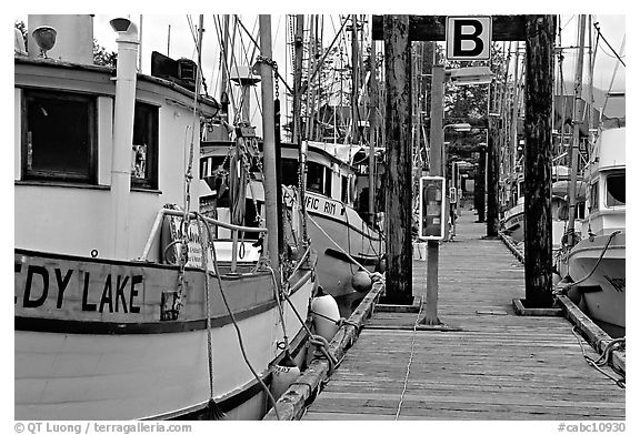 Fishing boats docked, Uclulet. Vancouver Island, British Columbia, Canada