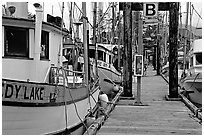 Fishing boats docked, Uclulet. Vancouver Island, British Columbia, Canada (black and white)