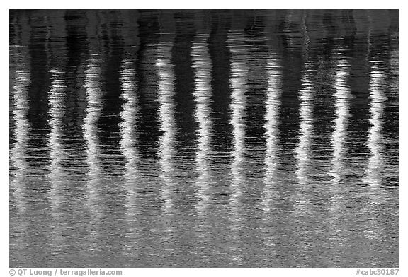 Column reflections. Victoria, British Columbia, Canada