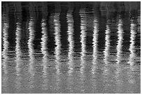 Column reflections. Victoria, British Columbia, Canada (black and white)