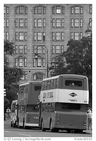 Double-deck tour busses. Victoria, British Columbia, Canada (black and white)