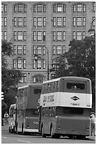 Double-deck tour busses. Victoria, British Columbia, Canada (black and white)