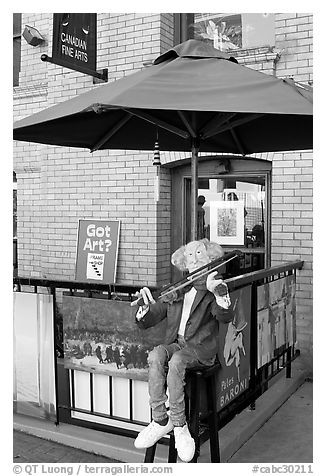 Art Gallery, Bastion Square. Victoria, British Columbia, Canada (black and white)