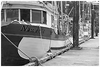 Commercial fishing boats, Uclulet. Vancouver Island, British Columbia, Canada (black and white)