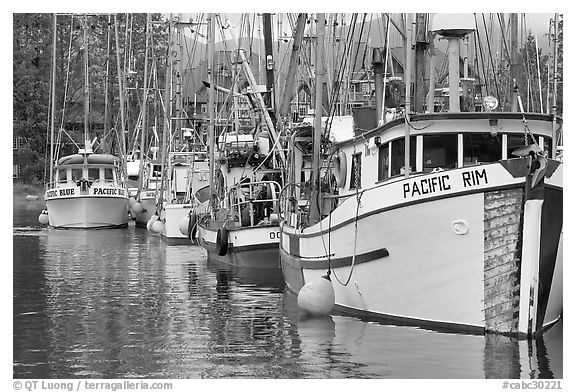 Fishing fleet, Uclulet. Vancouver Island, British Columbia, Canada (black and white)