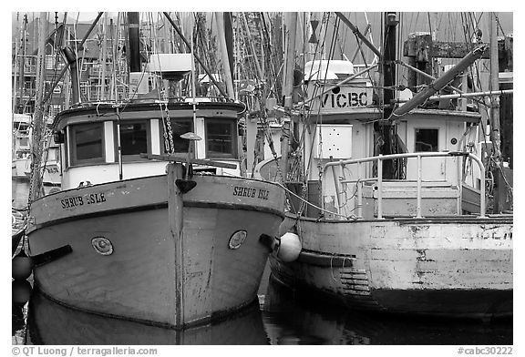 Fishing fleet, Uclulet. Vancouver Island, British Columbia, Canada