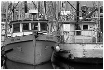 Fishing fleet, Uclulet. Vancouver Island, British Columbia, Canada ( black and white)