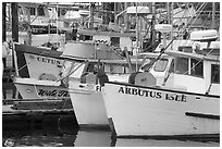 Commercial Fishing fleet, Uclulet. Vancouver Island, British Columbia, Canada (black and white)