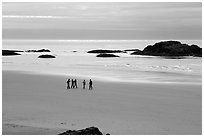 Long Beach. Pacific Rim National Park, Vancouver Island, British Columbia, Canada (black and white)