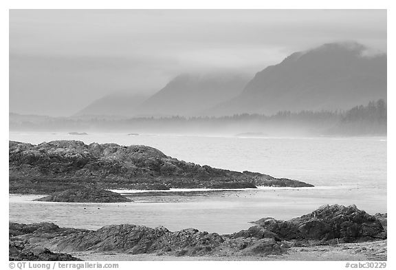 Ocean and coastal range. Pacific Rim National Park, Vancouver Island, British Columbia, Canada