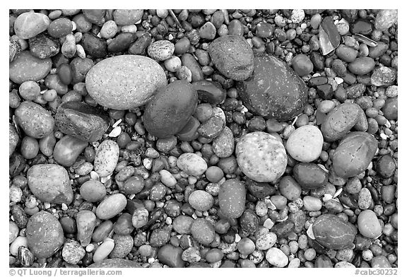 Pebbles, South Beach. Pacific Rim National Park, Vancouver Island, British Columbia, Canada (black and white)