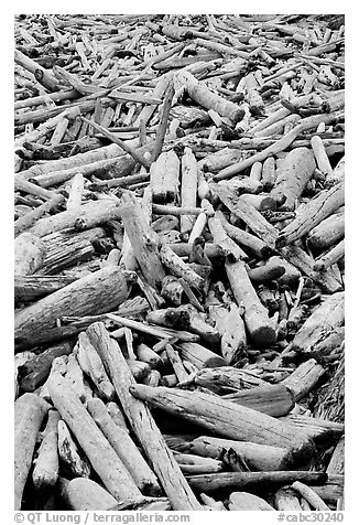 Driftwood, Long Beach. Pacific Rim National Park, Vancouver Island, British Columbia, Canada (black and white)