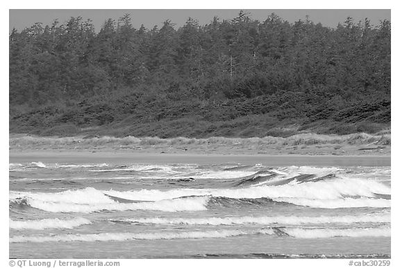 Waves washing on Long Beach. Pacific Rim National Park, Vancouver Island, British Columbia, Canada