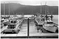Fishing boats in harbour in Alberni Inlet, Port Alberni. Vancouver Island, British Columbia, Canada ( black and white)