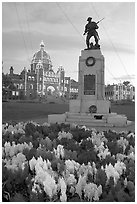 Flowers, memorial, and illuminated parliament. Victoria, British Columbia, Canada (black and white)