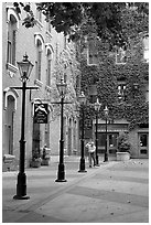 Alley with street lamps, Bastion Square. Victoria, British Columbia, Canada (black and white)