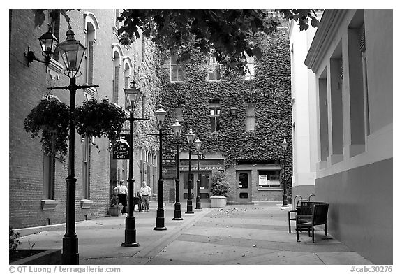 Alley with street lamps, Bastion Square. Victoria, British Columbia, Canada (black and white)