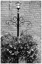 Flowers, street lamp, brick wall. Victoria, British Columbia, Canada ( black and white)