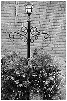 Flowers, street lamp, brick wall. Victoria, British Columbia, Canada (black and white)