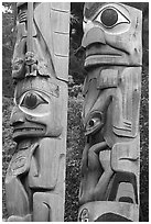 Totem poles, Thunderbird Park. Victoria, British Columbia, Canada ( black and white)